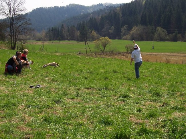 Coursing Velike Lašče 06 - foto povečava