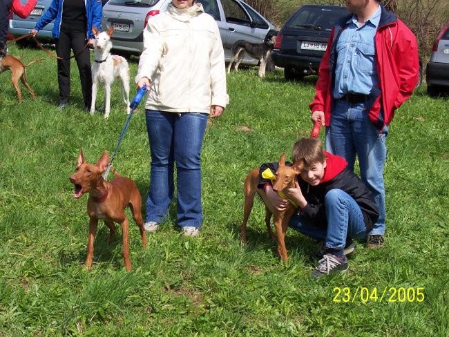 COURSING - foto povečava