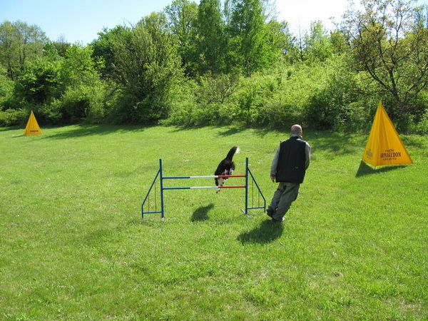 Balkan kinology - foto povečava