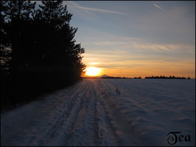 Zima 2009 - foto povečava