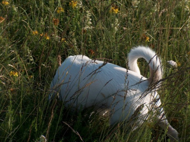 Uršlja gora 2005 - foto