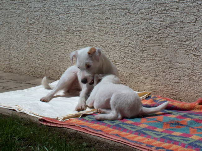 Ula&Chili - foto povečava