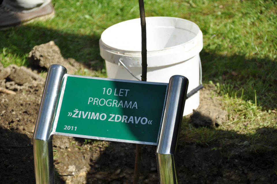 Živimo zdravo 2011 - foto povečava