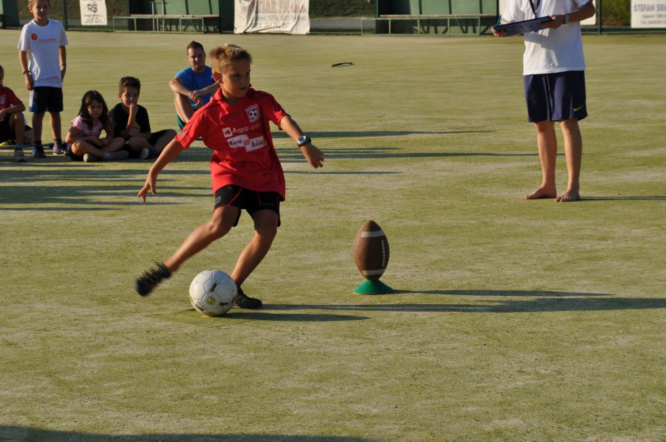 VETER V LASEH 2013 - foto povečava