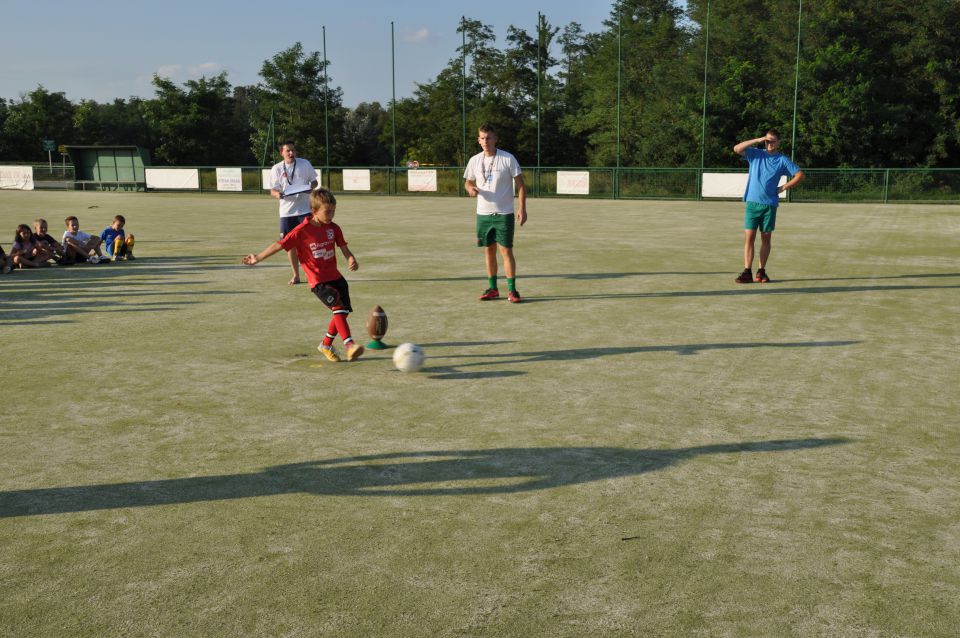 VETER V LASEH 2013 - foto povečava