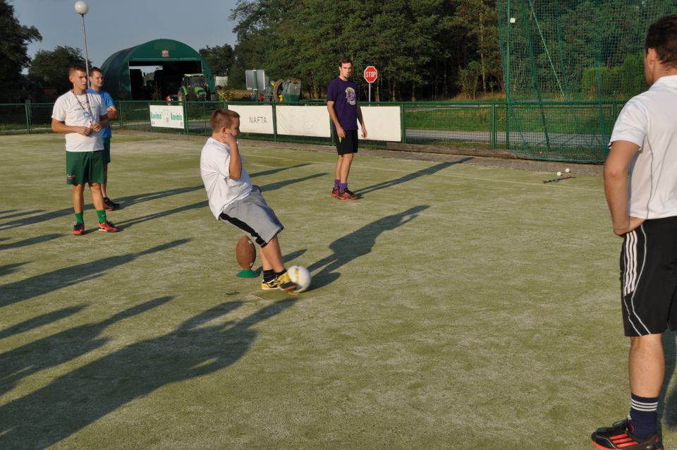 VETER V LASEH 2013 - foto povečava