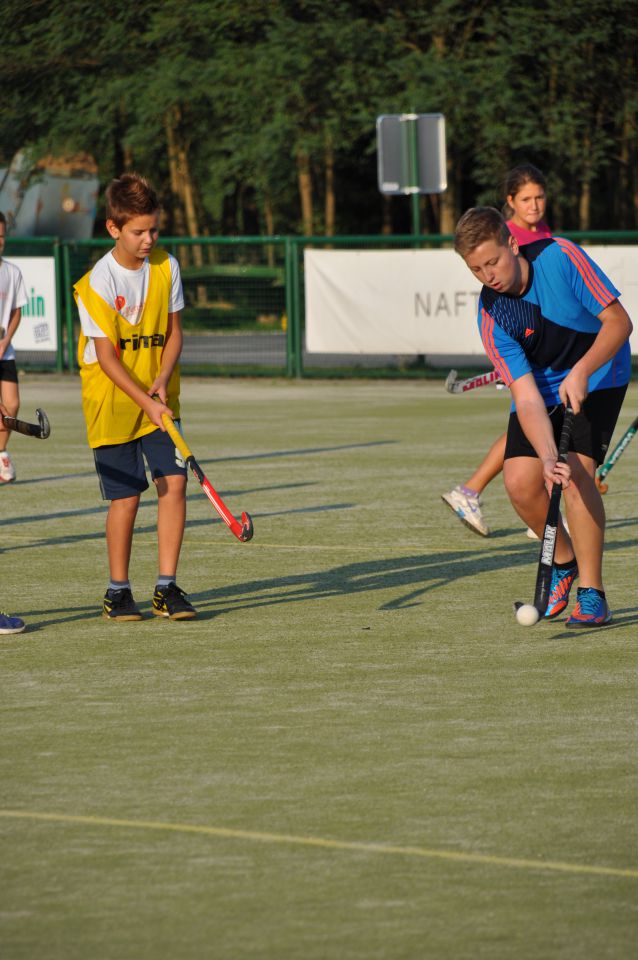 VETER V LASEH 2013 - foto povečava