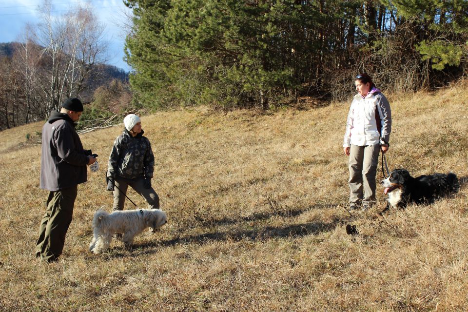 Po hribčkih in dolincah - foto povečava