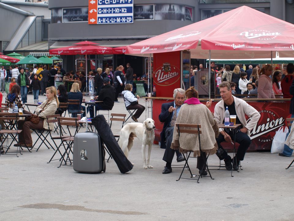 EURODOGSHOW - foto povečava