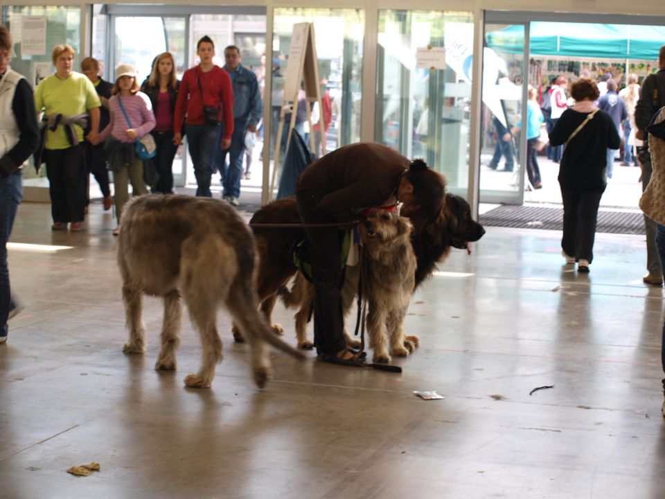 EURODOGSHOW - foto povečava