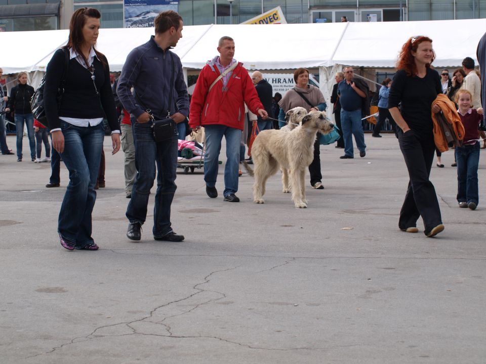 EURODOGSHOW - foto povečava