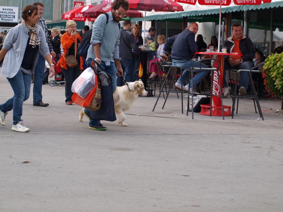 EURODOGSHOW - foto povečava