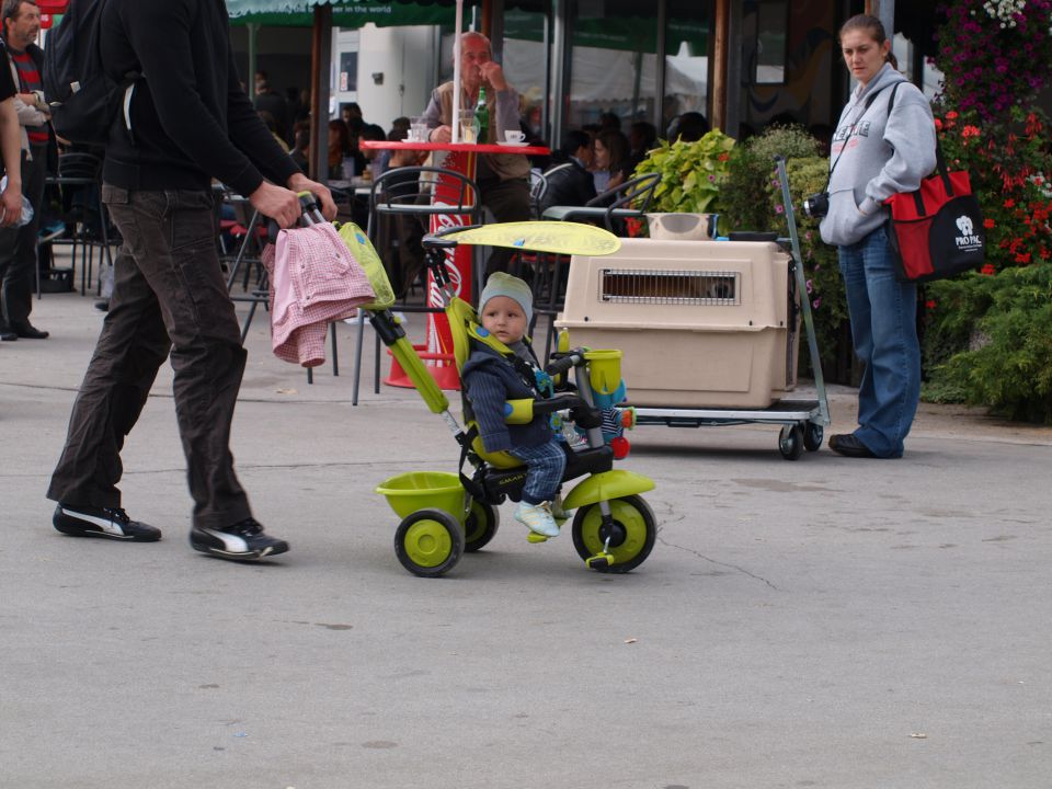 EURODOGSHOW - foto povečava