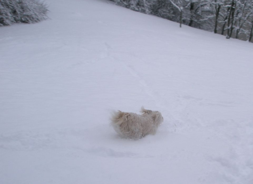 Zima je najlepša (2010) - foto povečava