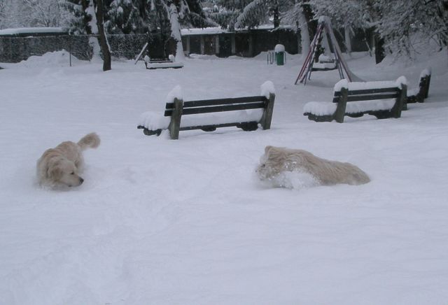 Zima je najlepša (2010) - foto