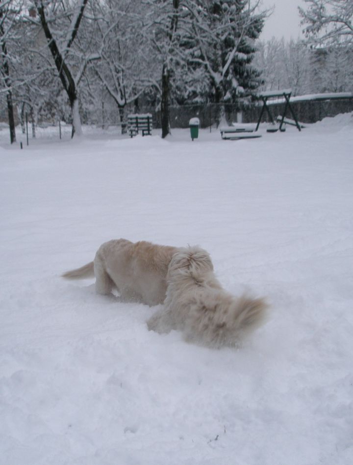 Zima je najlepša (2010) - foto povečava