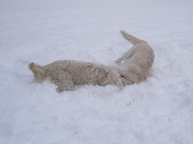 Zima je najlepša (2010) - foto
