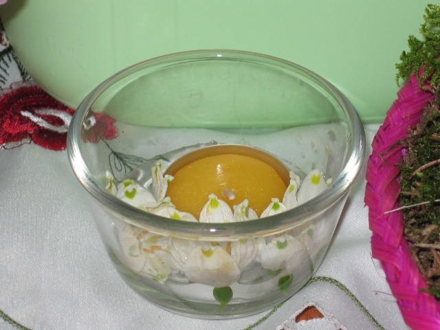 Pomlad 2007 - foto