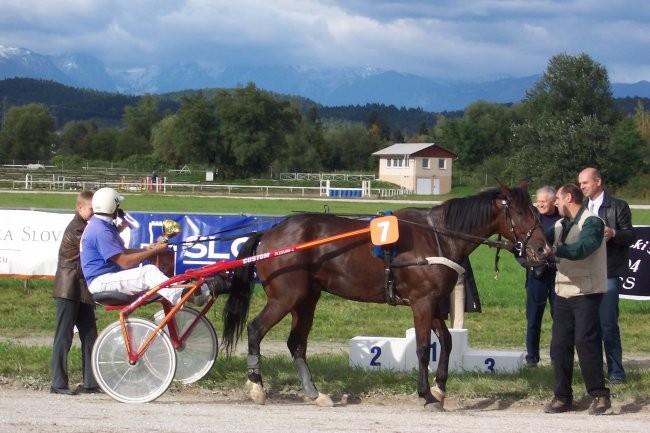 26.9.2004 Ljubljana
5.dirka_Deželna Banka Slovenije d.d.
Zmagovalec g.Vojo Maletić (Sem 