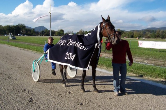 17.10.2004 Ljubljana
4.dirka_ZDKCS
Zmagovalec dirke g.Slavnič Marko (Iza 