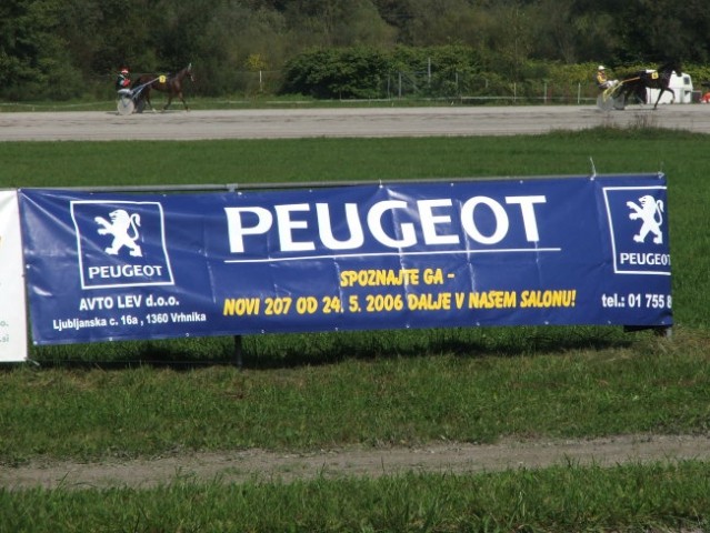 ...Peugeot je omogočili voznikom peljati tudi več konj hkrati...