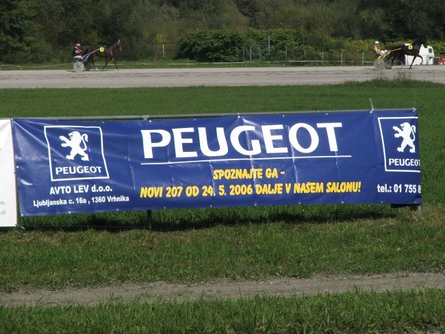 ...Peugeot je omogočili voznikom peljati tudi več konj hkrati...