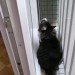 20090620 Milino okno