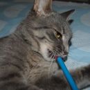 ian se igra