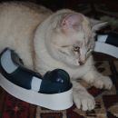 20120319 porthos se igra
