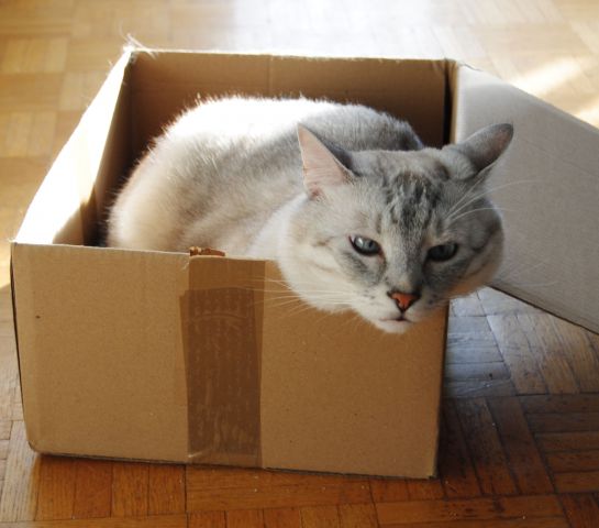 20160221 livin' in a box - foto