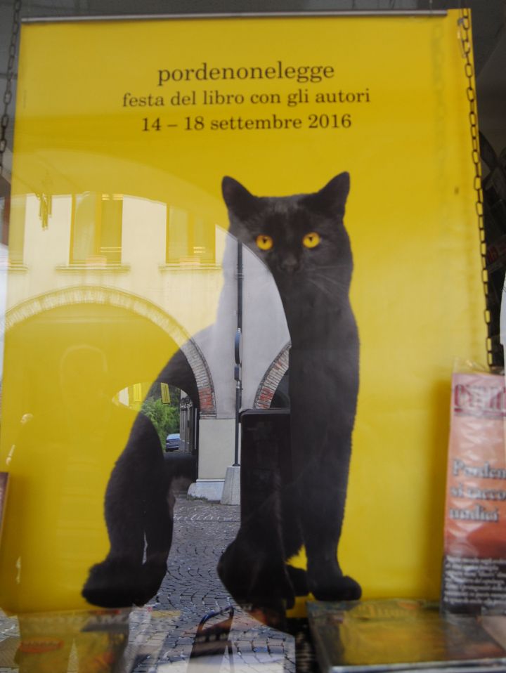 Cats of italy 2016 - foto povečava