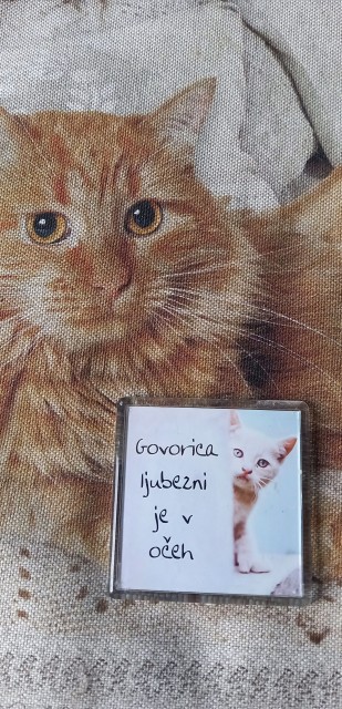 Slika
