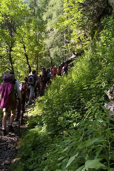 Planinski tabor - Podpeca 2008 - foto