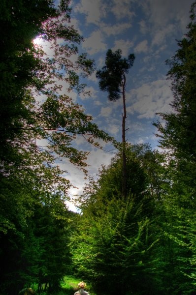 HDR fotografije - foto povečava