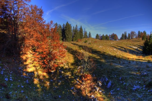 Menina planina - 11. - 12.10.2008 - foto povečava