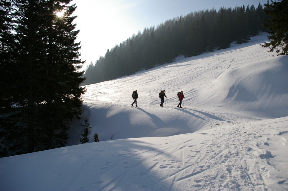 Pokljuka - 28.2 do 1.3.2009 - foto povečava