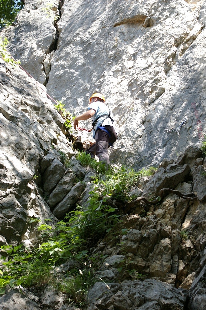 Tabore Dovje 2009 - foto povečava