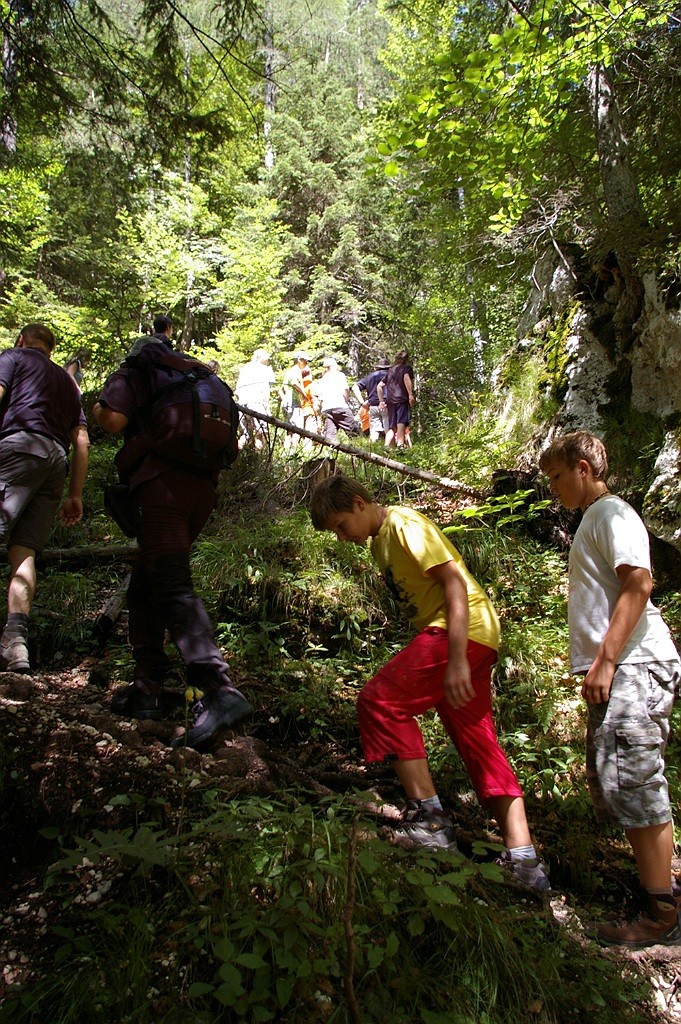 Tabore Dovje 2009 - foto povečava