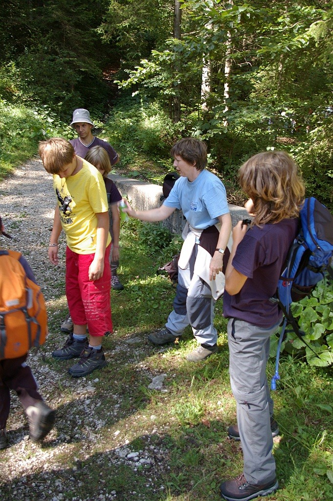 Tabore Dovje 2009 - foto povečava