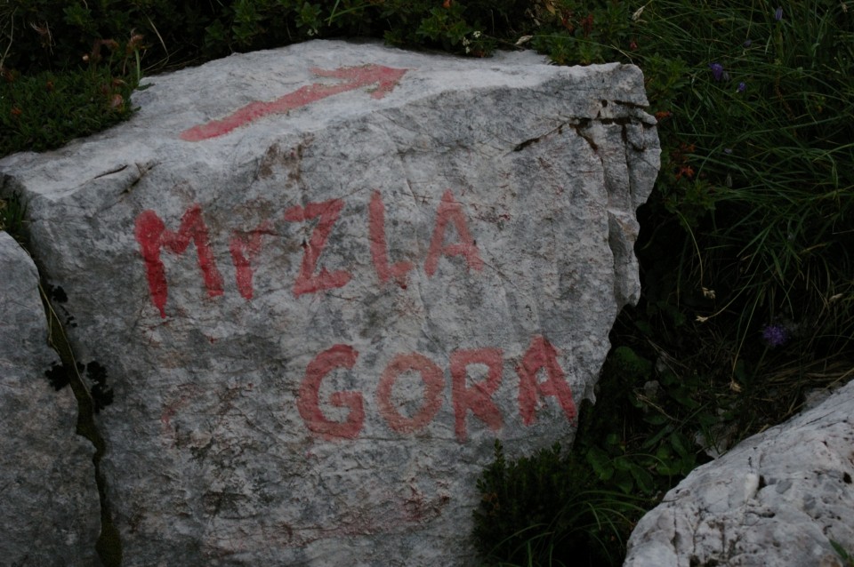 Mrzla Gora - 9.8.2009 - foto povečava