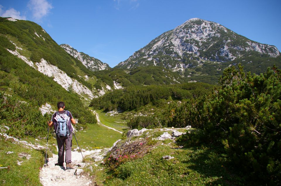 Planina Korošica - 17.7.2011 - foto povečava