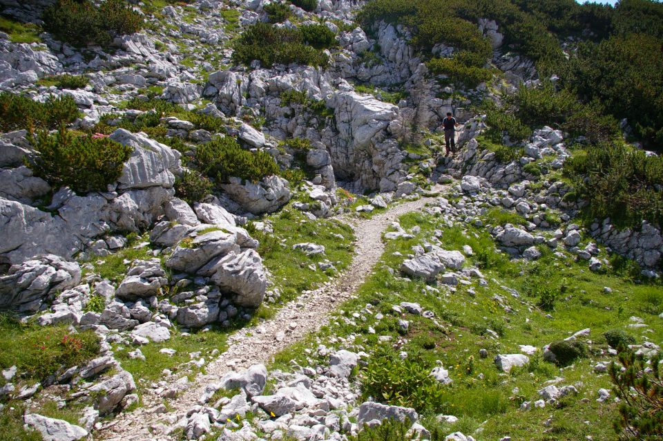 Planina Korošica - 17.7.2011 - foto povečava