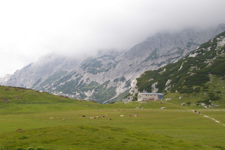 Planina Korošica - 17.7.2011 - foto povečava