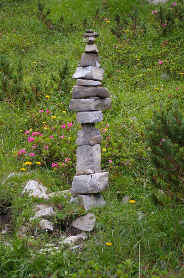 Planina Korošica - 17.7.2011 - foto povečava