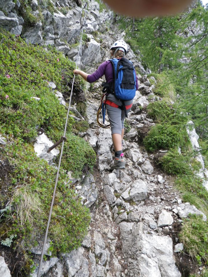 Raduha po zelo zahtevni poti - 31.7.2011 - foto povečava