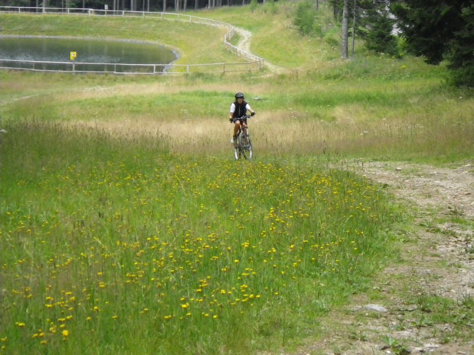 Pohorje - 06.08.2011 - foto povečava