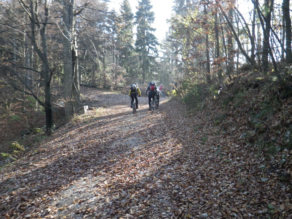 Konjiška gora - 20.11.2011 - foto povečava