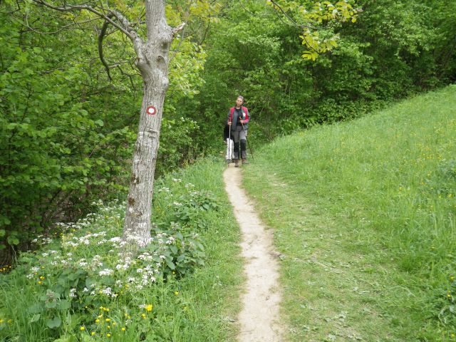 Donačka gora - 6.5.2012 - foto