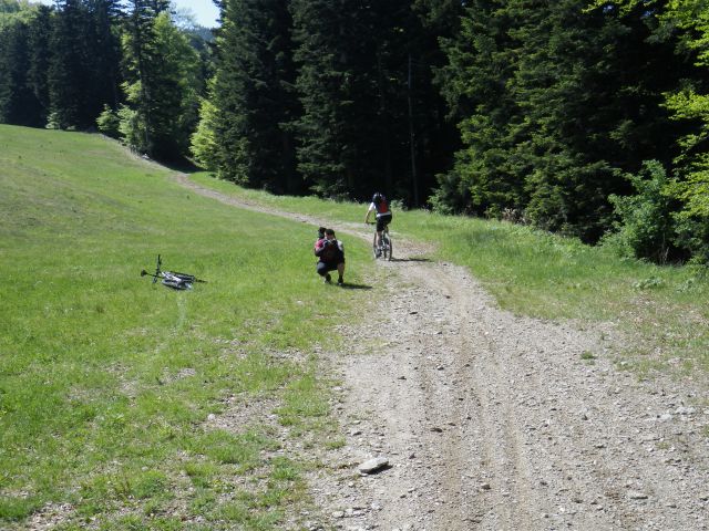Prečkanje Pohorja - 19.5.2012 - foto