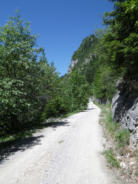 Raduha - 16., 17.6.2012 - foto